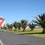 Mouille Point Promenade_Cape Town_South Africa_Magic Mountain
